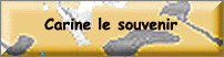 Cliquez pour ne pas oublier Carine